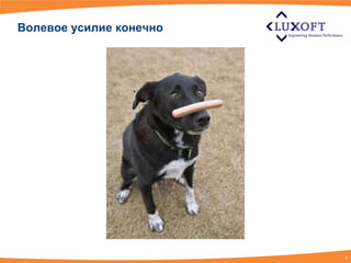 Волевое усилие конечно




                         4
 