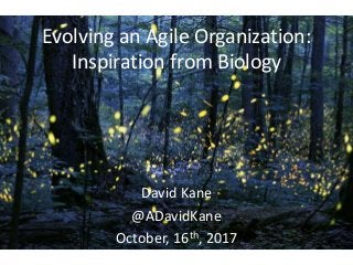 Evolving an Agile Organization:
Inspiration from Biology
David Kane
@ADavidKane
October, 16th, 2017
 