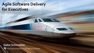 Agile Software Delivery
for Executives
Gabor Schonekker
https://www.linkedin.com/in/gaborschonekker
 