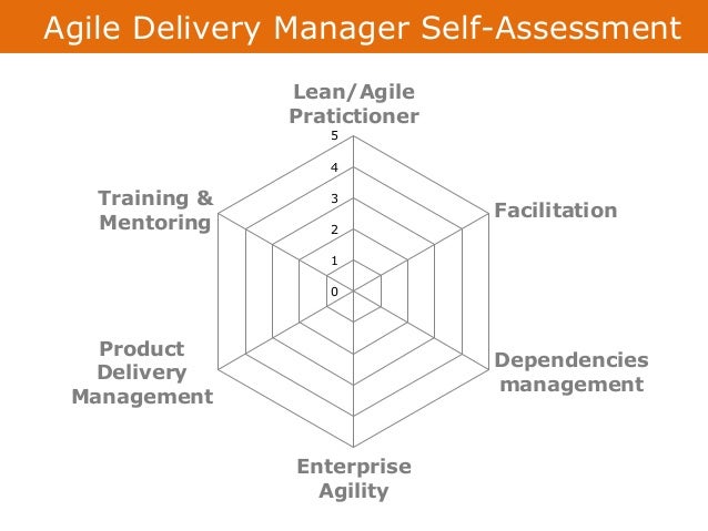 Agile Delivery Manager Self Assessment Radar