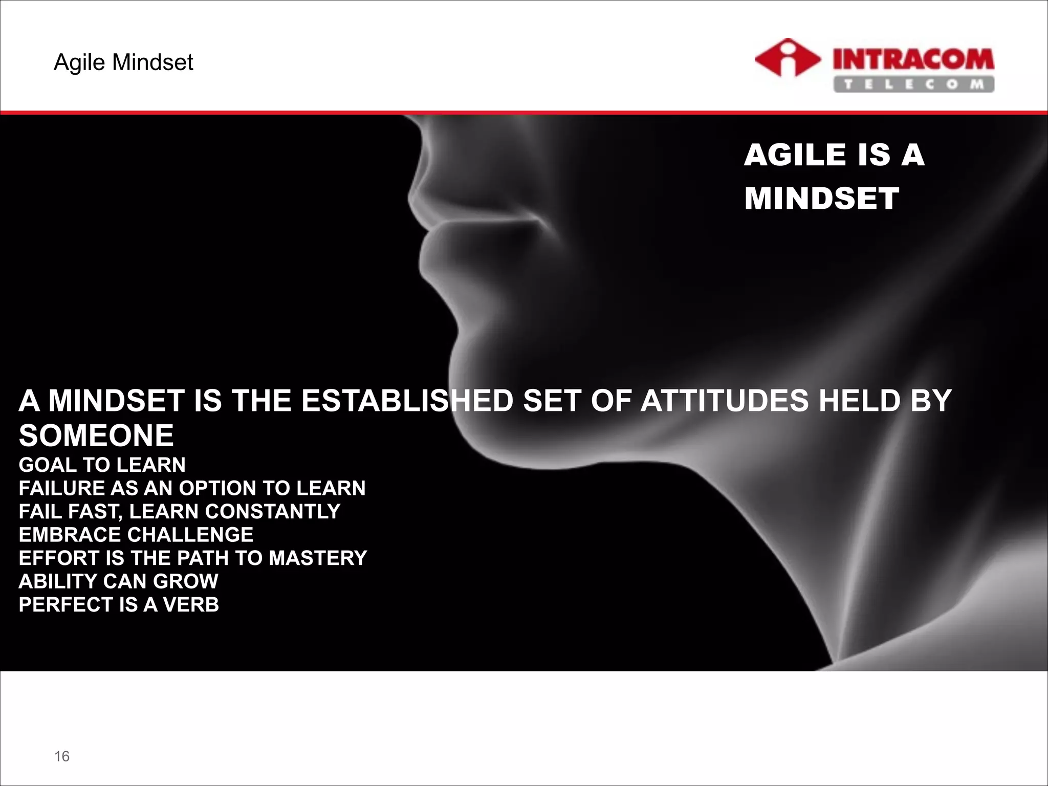 Agile Mindset
16
AGILE IS A
MINDSET
A MINDSET IS THE ESTABLISHED SET OF ATTITUDES HELD BY
SOMEONE
GOAL TO LEARN
FAILURE AS AN OPTION TO LEARN
FAIL FAST, LEARN CONSTANTLY
EMBRACE CHALLENGE
EFFORT IS THE PATH TO MASTERY
ABILITY CAN GROW
PERFECT IS A VERB
 