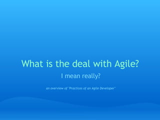 What is the deal with Agile? I mean really?   an overview of &quot;Practices of an Agile Developer&quot; 