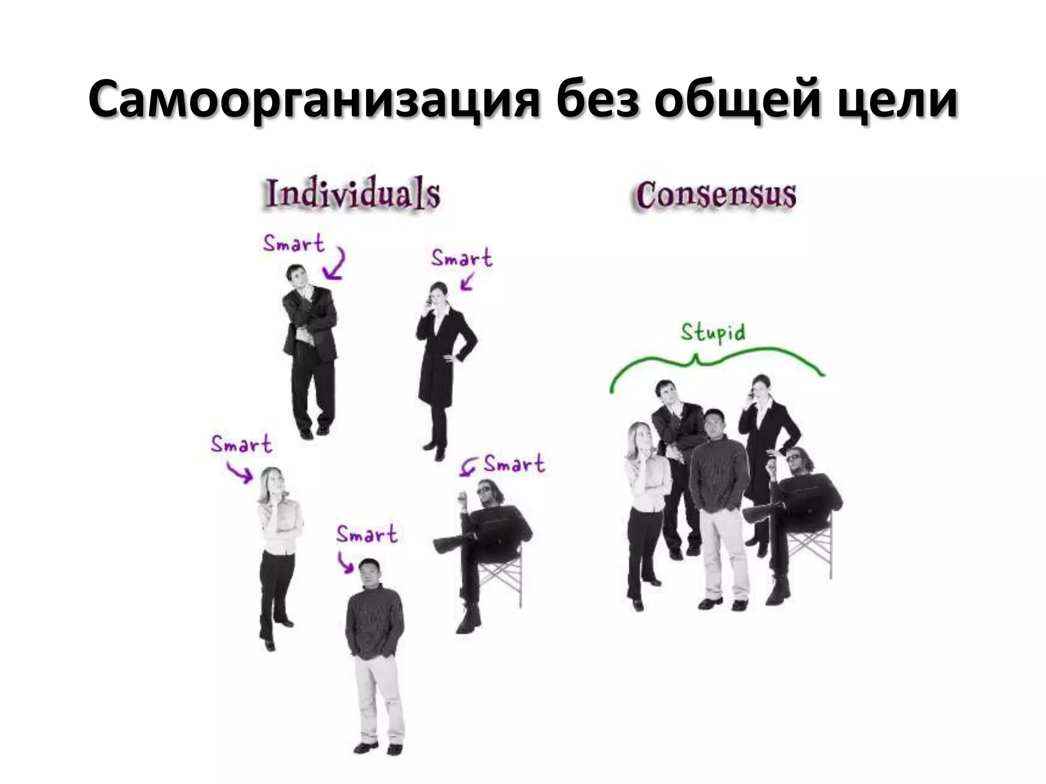 Самоорганизация без общей цели