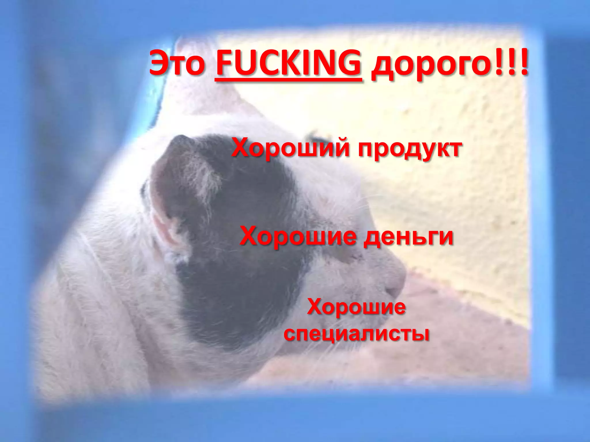 Это FUCKING дорого!!!Хороший продуктХорошие деньгиХорошие специалисты