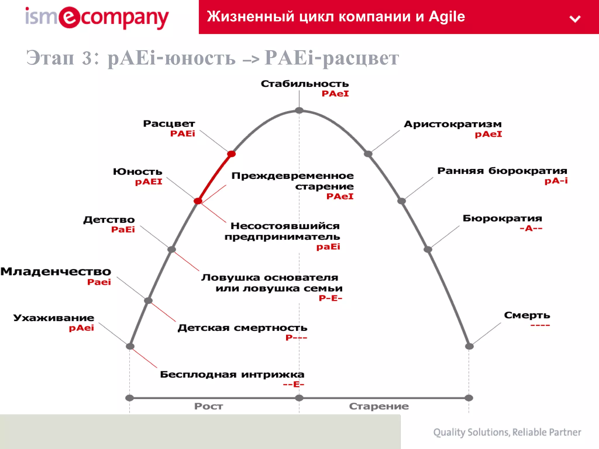 Жизненный цикл компании и Agile Этап 3: pAEi-юность  – >   PАЕi - расцвет  