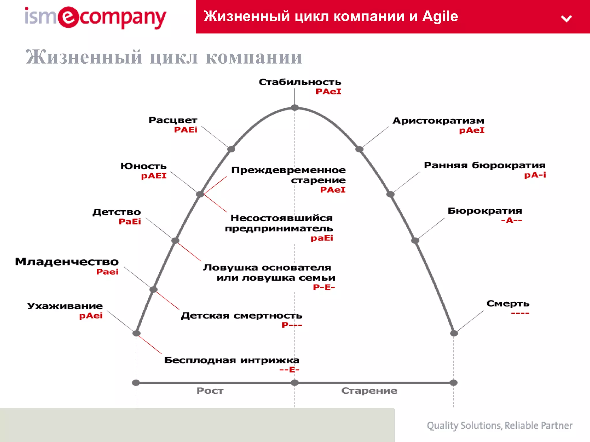 Жизненный цикл компании и Agile Жизненный цикл компании 