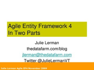 AgileEntity Framework 4
