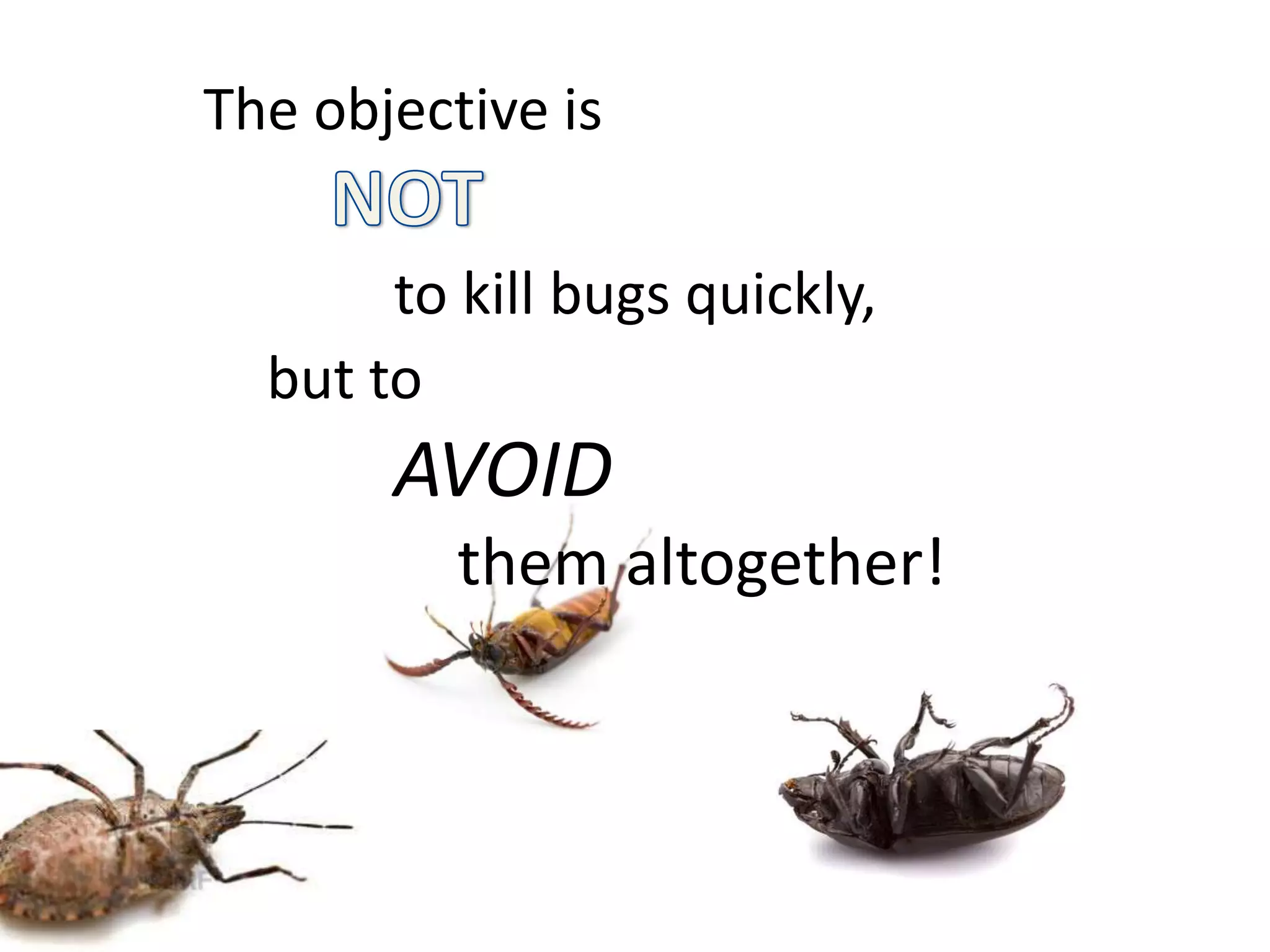 The objective is to kill bugs quickly, but to AVOID them altogether! 