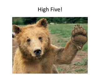 High Five!

 
