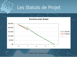 Les Statuts de Projet 