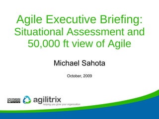 Agile Executive Briefing:  Situational Assessment and 50,000 ft view of Agile Michael Sahota October, 2009 