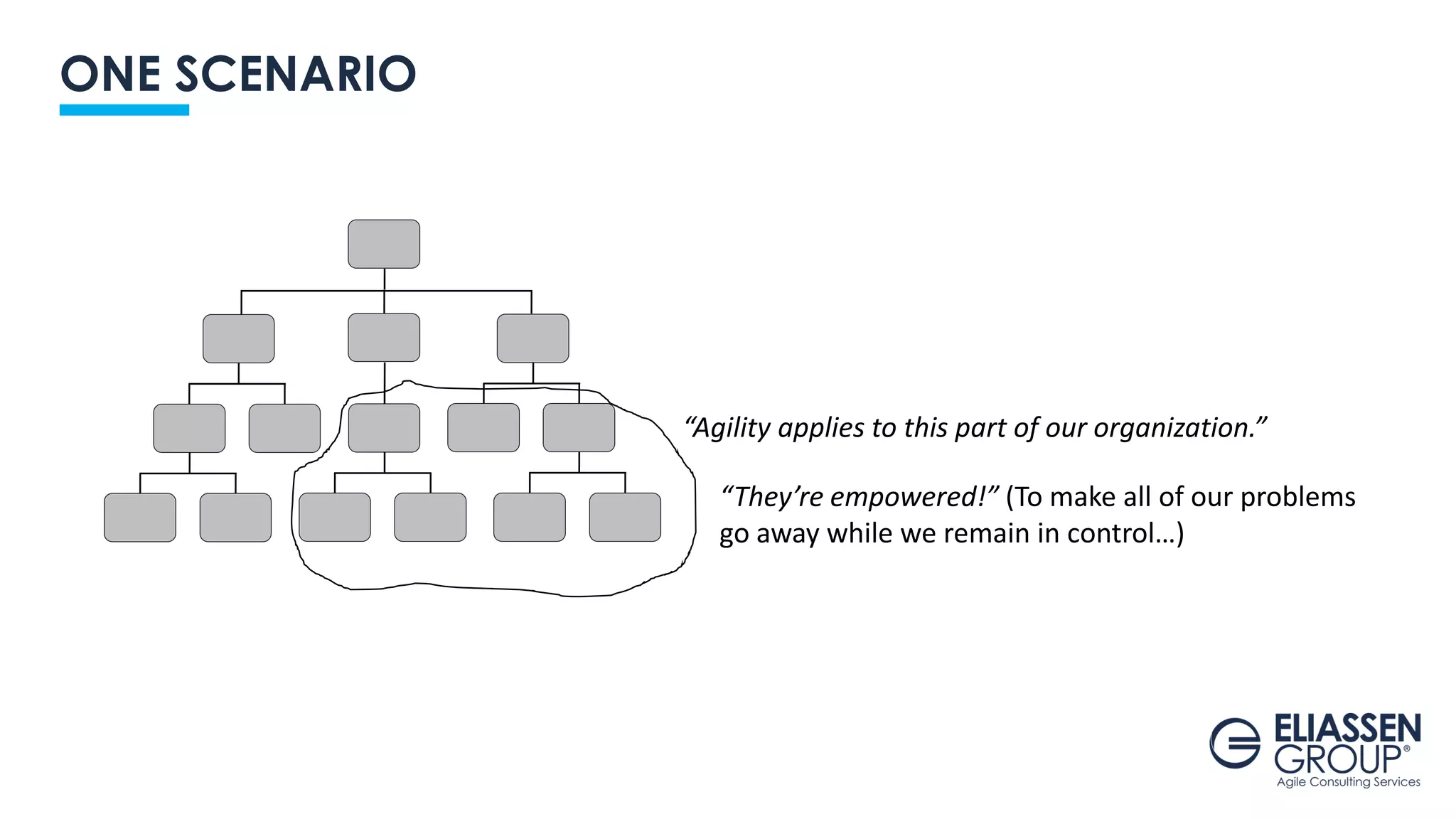ONE SCENARIO
“Agility applies to this part of our organization.”
“They’re empowered!” (To make all of our problems
go away while we remain in control…)
 