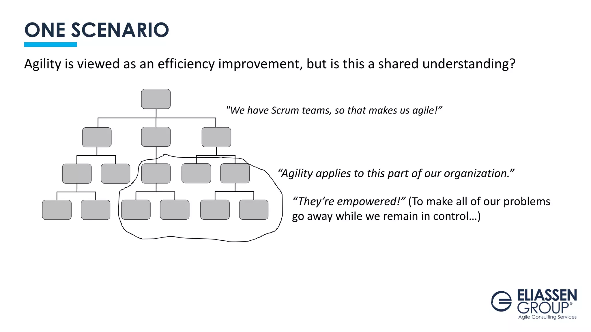 ONE SCENARIO
“Agility applies to this part of our organization.”
“They’re empowered!” (To make all of our problems
go away while we remain in control…)
Agility is viewed as an efficiency improvement, but is this a shared understanding?
"We have Scrum teams, so that makes us agile!”
 