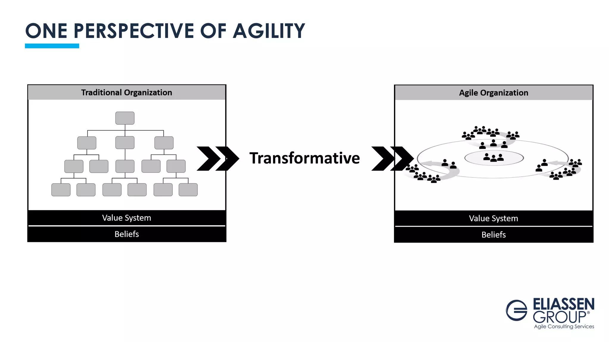ONE PERSPECTIVE OF AGILITY
Transformative
 