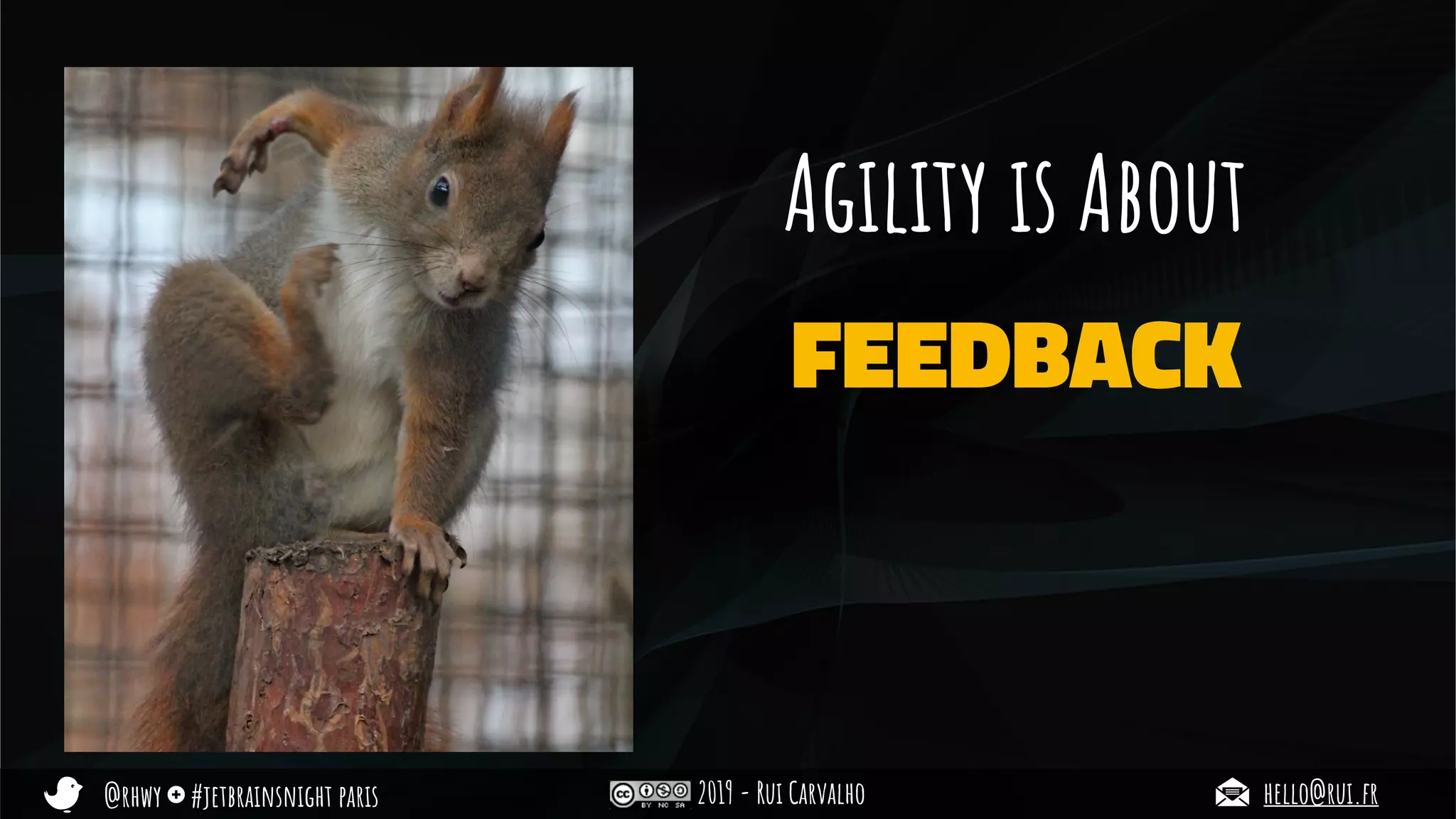 @rhwy #jetbrainsnight paris 2019 - Rui Carvalho hello@rui.fr
Agility is About
FEEDBACK
 