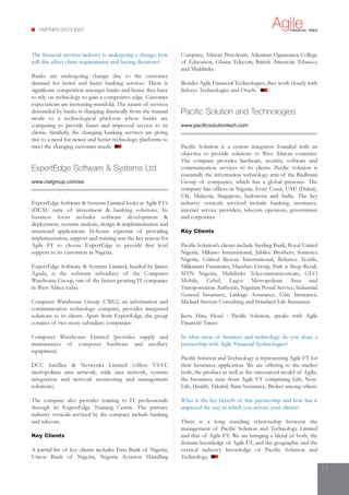 Agile Financial Times Apr09