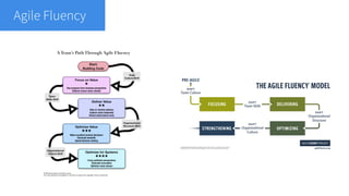 Agile fluency (3)