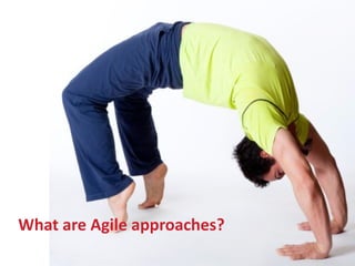 What are Agile approaches? 