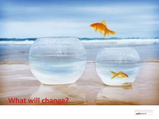What will change? 