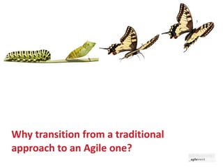 Why transition from a traditional approach to an Agile one? 
