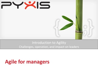 Agile for managers Introduction to Agility Challenges, operation, and impact on leaders 