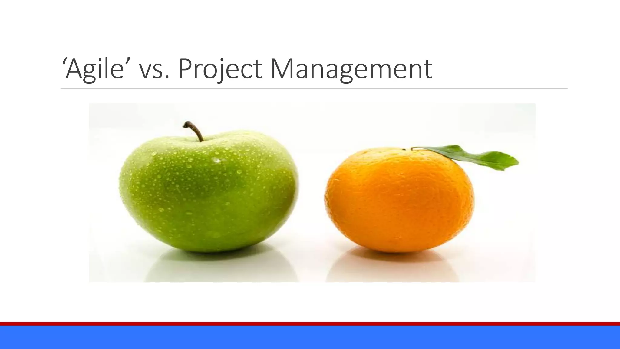 ‘Agile’ vs. Project Management
 