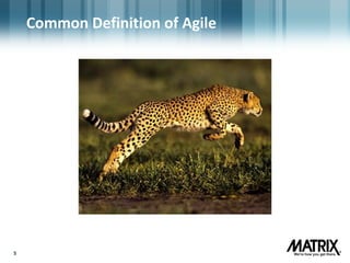 55
Common Definition of Agile
 
