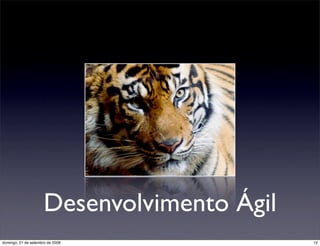 Comparação entre Frameworks Web Ágeis