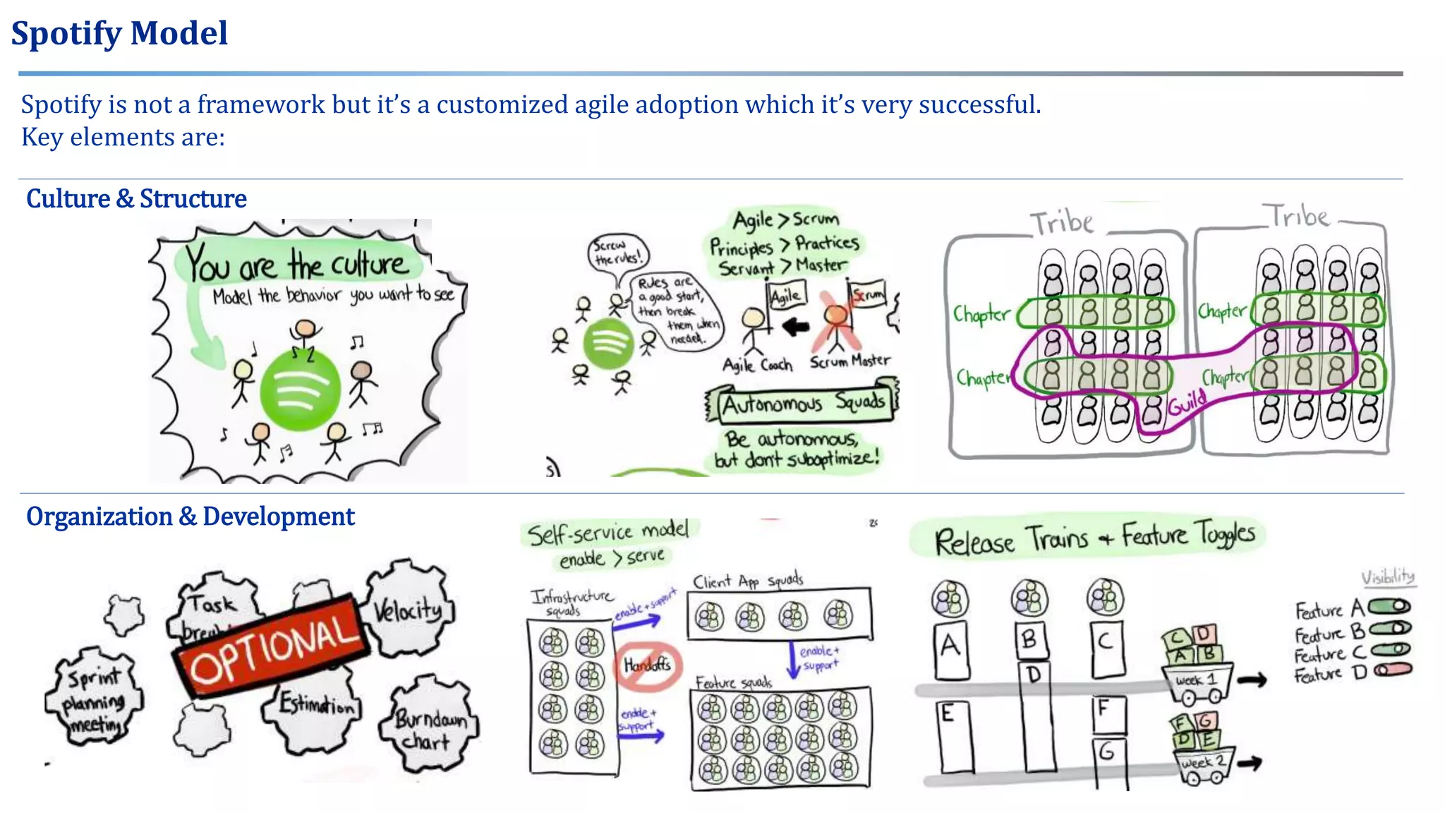Spotify Model
Spotify is not a framework but it’s a customized agile adoption which it’s very successful.
Key elements are:
Culture & Structure
Organization & Development
 