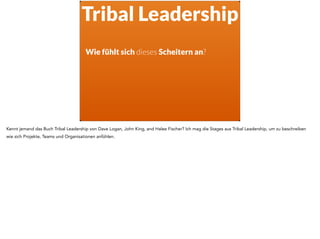 Tribal Leadership
Wie fühlt sich dieses Scheitern an?
Kennt jemand das Buch Tribal Leadership von Dave Logan, John King, and Halee Fischer? Ich mag die Stages aus Tribal Leadership, um zu beschreiben
wie sich Projekte, Teams und Organisationen anfühlen.
 