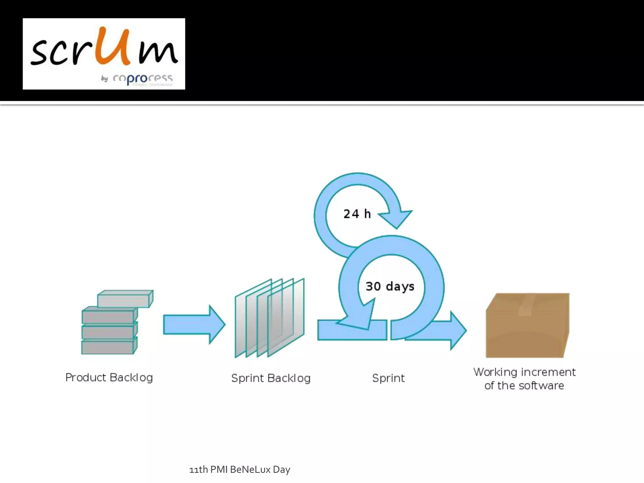 11th PMI BeNeLux Day