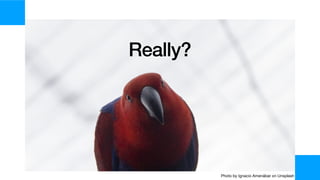 Really?
Photo by Ignacio Amenábar on Unsplash
 