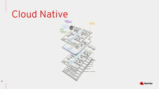 44
Cloud Native
 