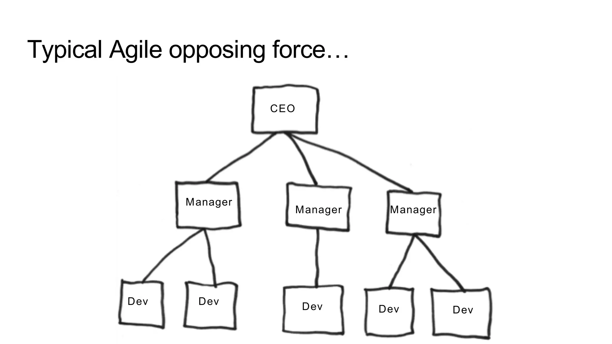 Typical Agile opposing force…
CEO
Manager
Manager Manager
Dev Dev Dev Dev Dev
 