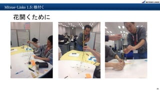 35
Mitsue-Links 1.5：根付く
花開くために
 