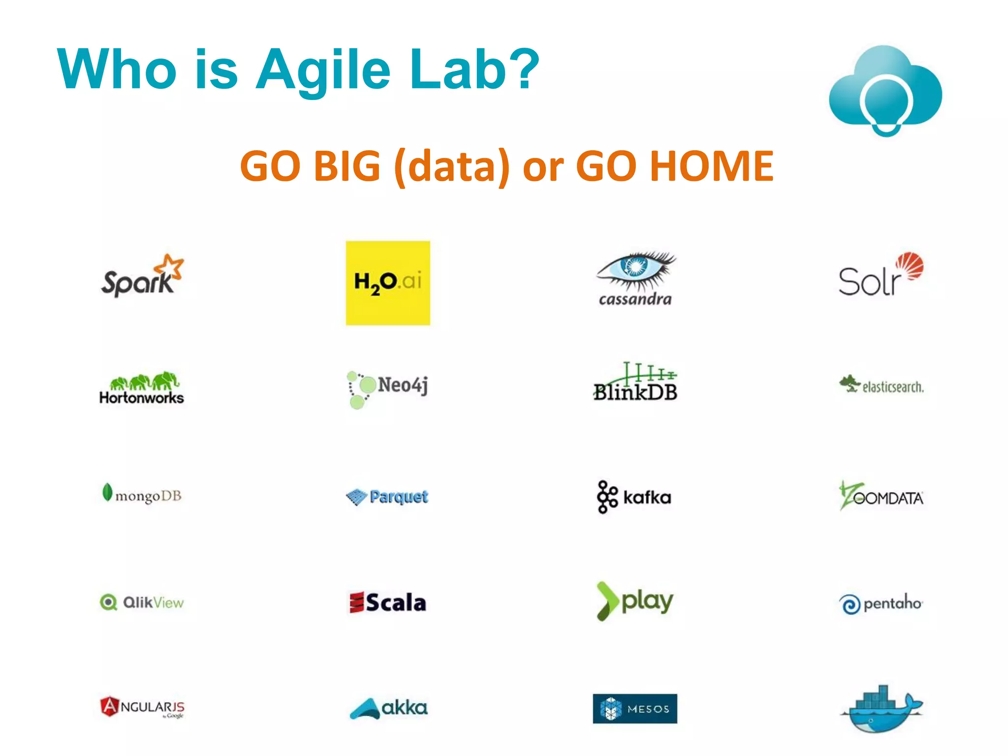 Who is Agile Lab?
GO BIG (data) or GO HOME