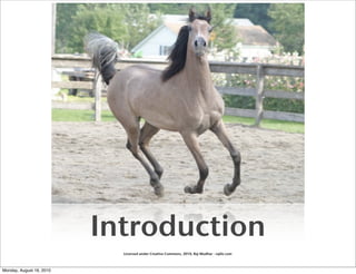 Introduction
                            Licensed under Creative Commons, 2010, Raj Mudhar - rajile.com



Monday, August 16, 2010
 