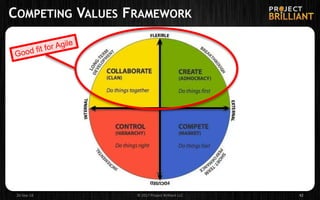 COMPETING VALUES FRAMEWORK
26-Sep-18 © 2017 Project Brilliant LLC 42
 