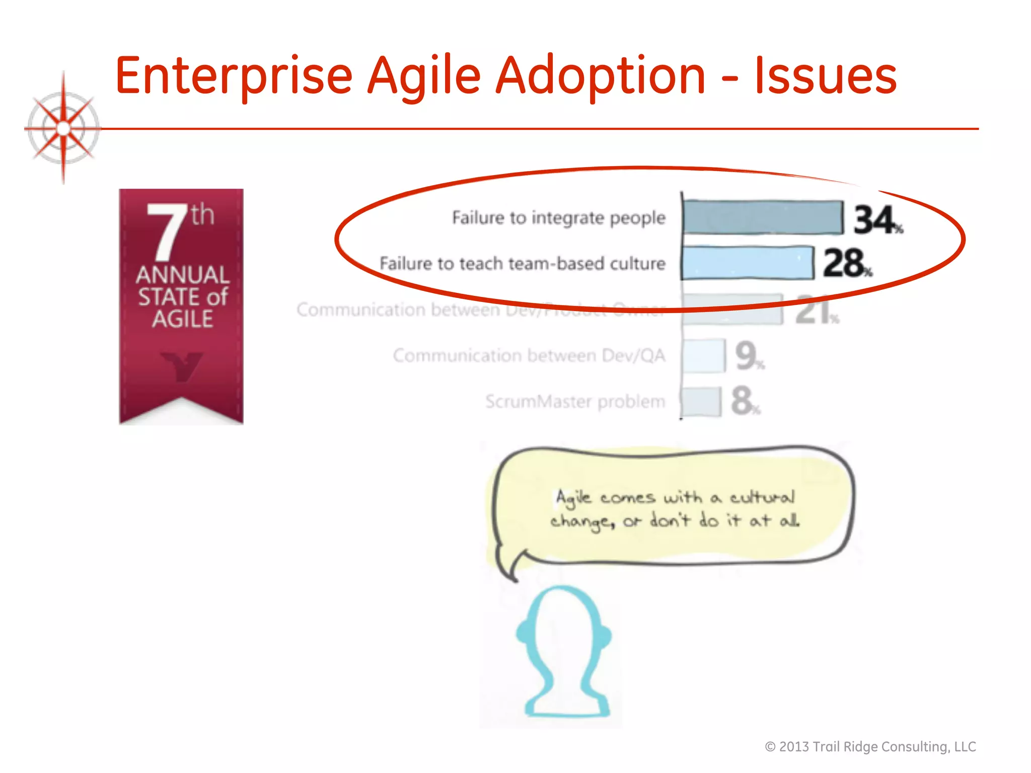 © 2013 Trail Ridge Consulting, LLC
Enterprise Agile Adoption - Issues
 