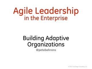 © 2013 Trail Ridge Consulting, LLC
Agile Leadership 
in the Enterprise
Building Adaptive
Organizations
@petebehrens
 