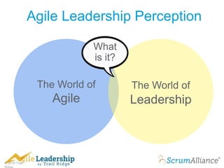 © 2016 Trail
Agile Leadership Perception
The World of
Agile
The World of
Leadership
What
is it?
 