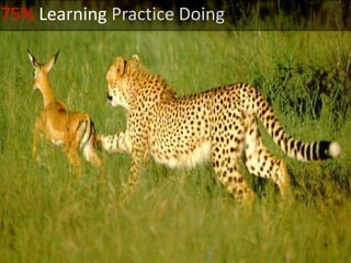 75% LearningPractice Doing
