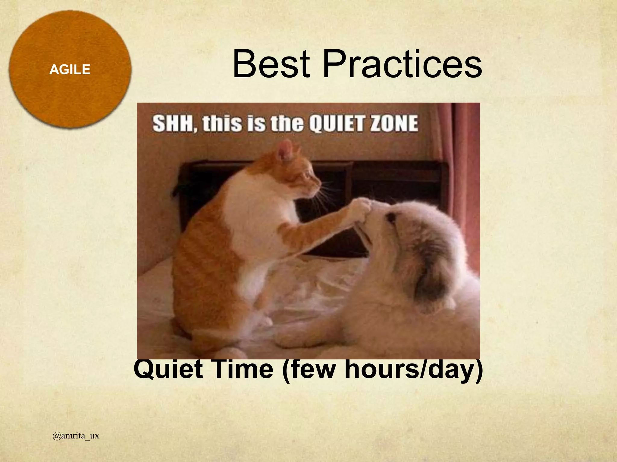 Quiet Time (few hours/day)
Best Practices
@amrita_ux
AGILE
 