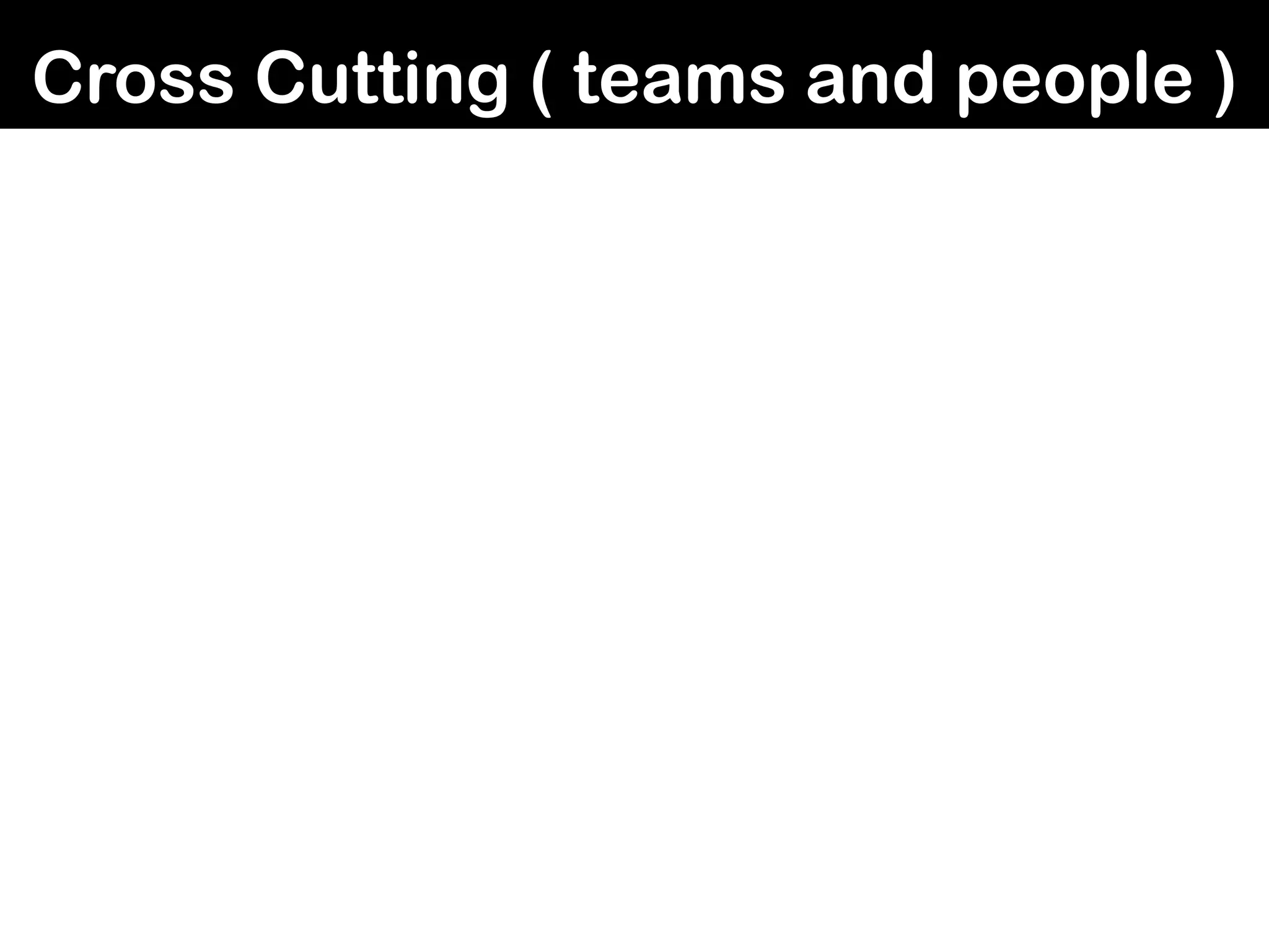 Cross Cutting ( teams and people )
 
