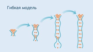 Гибкая модель
 