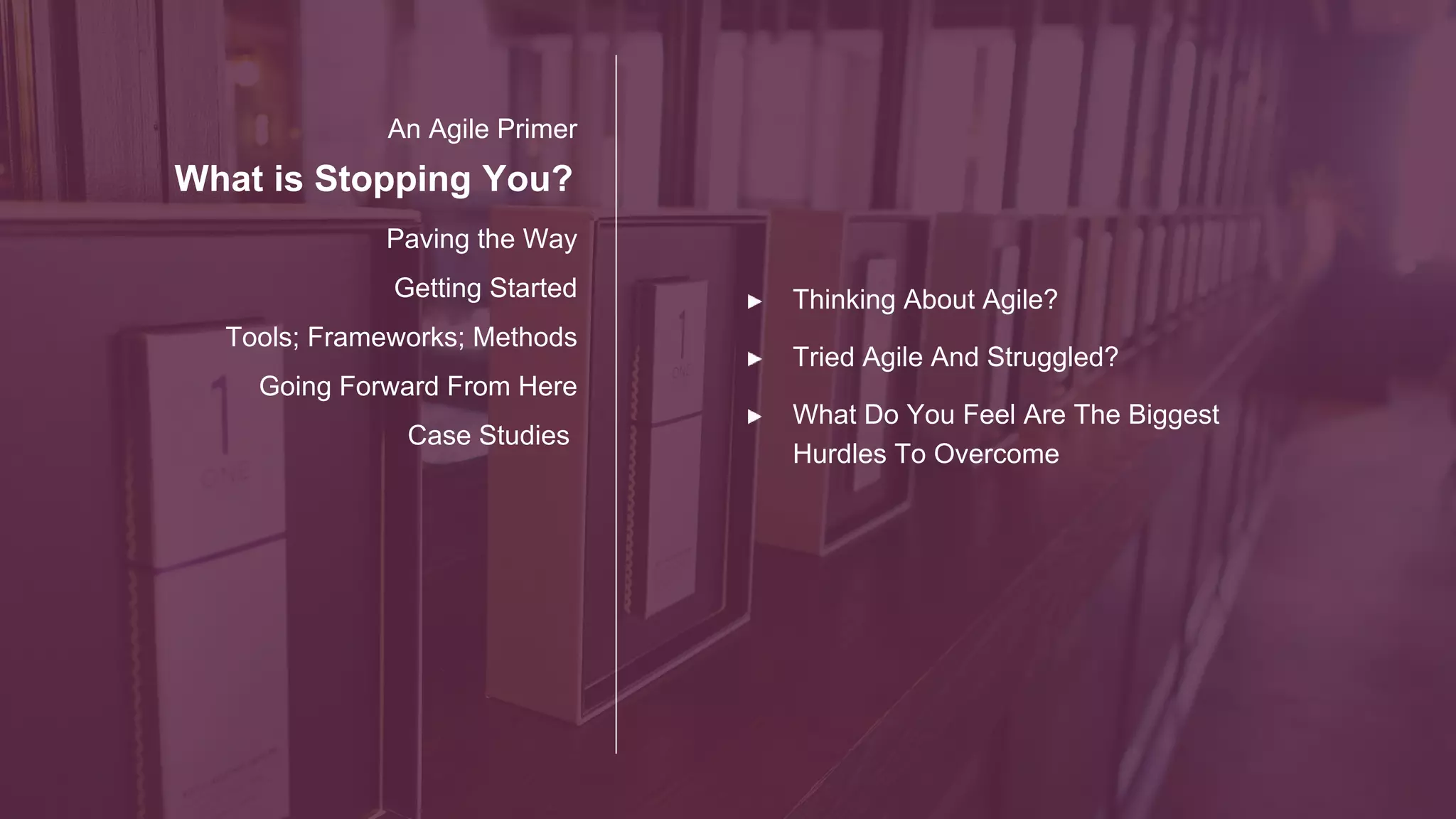 AGILE: Common Roadblocks
Do any of these sound familiar?
“Normal” Metrics Audit Documentation
Role UncertaintyDecision Making
PMO
Communication
 