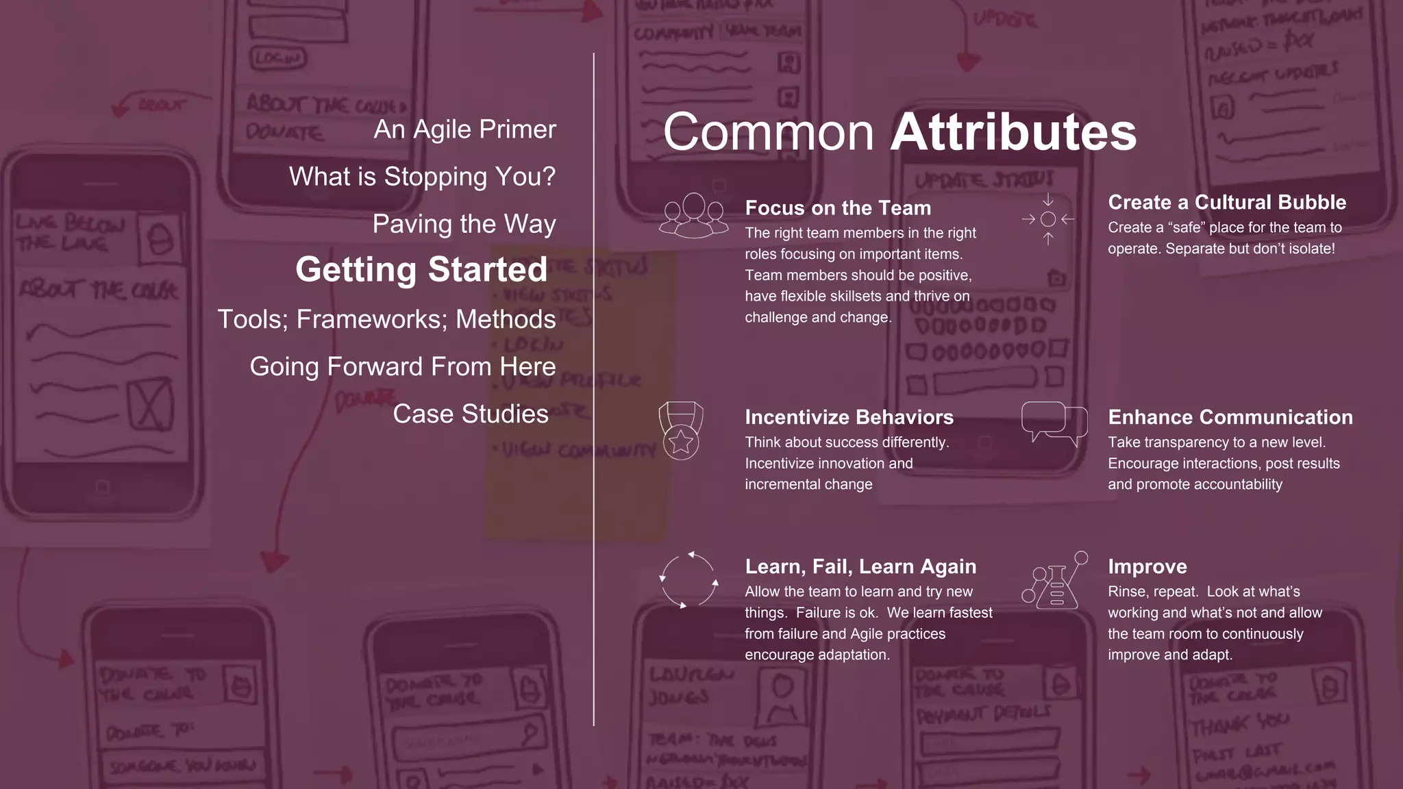 So Many Options!
Tools; Frameworks; Methods
Going Forward From Here
Case Studies
An Agile Primer
What is Stopping You?
Paving the Way
Getting Started
 