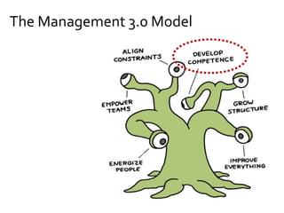 The Management 3.0 Model
 