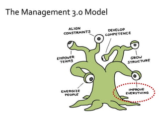 The Management 3.0 Model
 