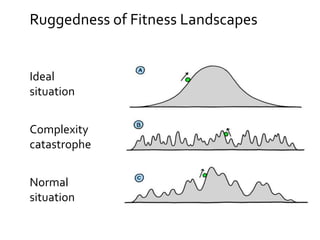 Ruggedness of Fitness Landscapes
Complexity
catastrophe
Normal
situation
Ideal
situation
 